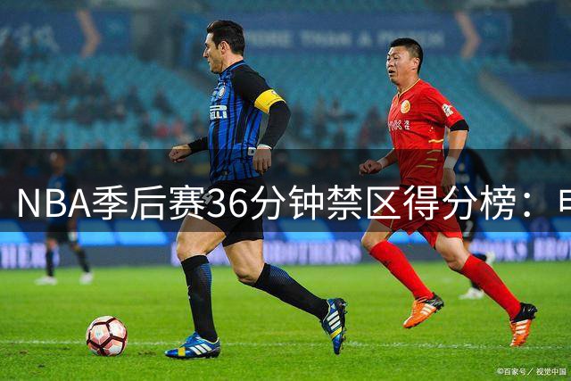 NBA季后赛36分钟禁区得分榜：申京领跑